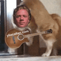 Funny Cat Guitarist Meme Ylia Callan