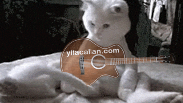 Funny Cat Guitarist Wagging Tail Meme Ylia Callan Guitar