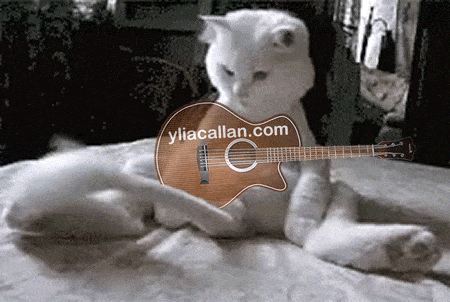 Funny Cat Guitarist Wagging Tail Meme Ylia Callan Guitar Animated Gif