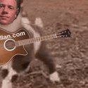 Funny Dancing Goat Plays Guitar Meme Ylia Callan Animated Gif