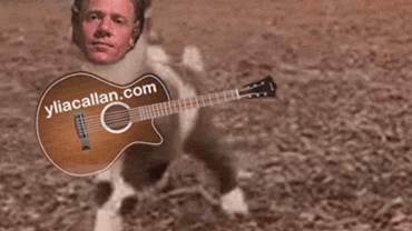 Funny Dancing Goat Plays Guitar Meme Ylia Callan Animated Gif