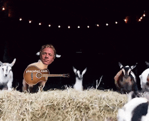 Funny Goat Guitar Player Meme Ylia Callan Animated Gif