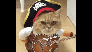 Funny Meme Pirate Cat Guitarist