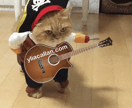 Funny Pirate Cat Guitarist Meme Ylia Callan Guitar Animated Gif
