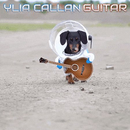 Guitarist Dachshund Dog in Space Suit Meme Ylia Callan Guitar Animated Gif