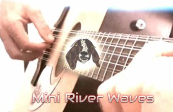 Mini River Waves - 12-String Acoustic Guitar Instrumental Album by Guitarist Ylia Callan