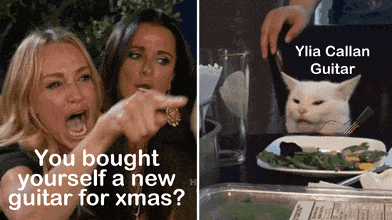 Women Yelling at Cat You bought Yourself a New Guitar for xmax Ylia Callan Guitar Meme Animated Gif