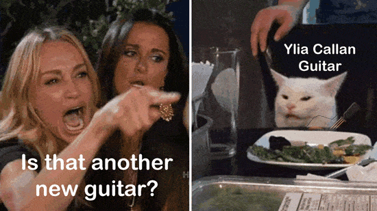 Women Yelling at Cat is that a new guitar Ylia Callan Meme animated gif