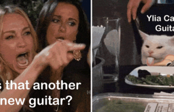 Women Yelling at Cat is that another New Guitar Ylia Animated Gif