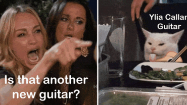 Women Yelling at Cat is that another New Guitar Ylia Animated Gif