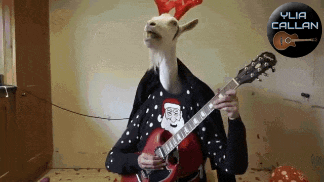 Funniest Goat Guitar Player Ever
