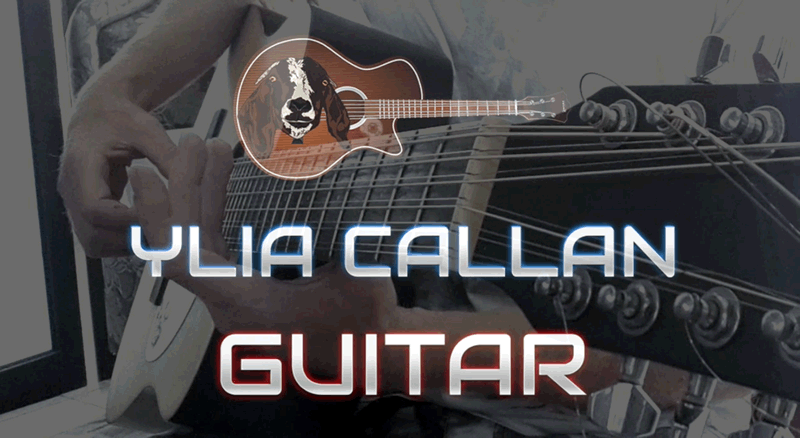 12 String Guitarist Ylia Callan Guitar